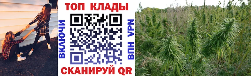Купить наркотики цена Сарапул Бошки Шишки A PVP АМФЕТАМИН блэк спрут зеркало МЕФ КОКАИН ГАШ